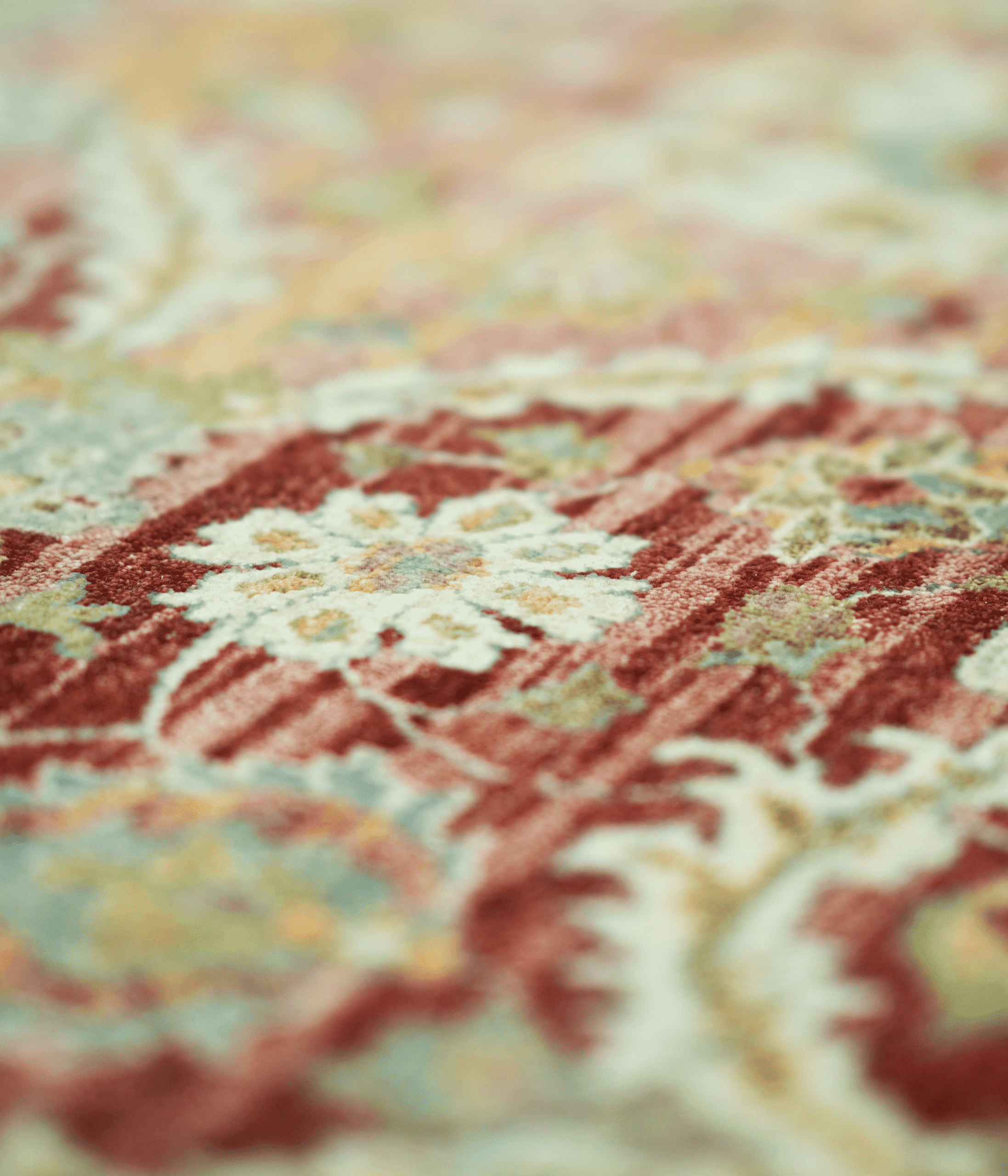Regal Bloom - Image 4