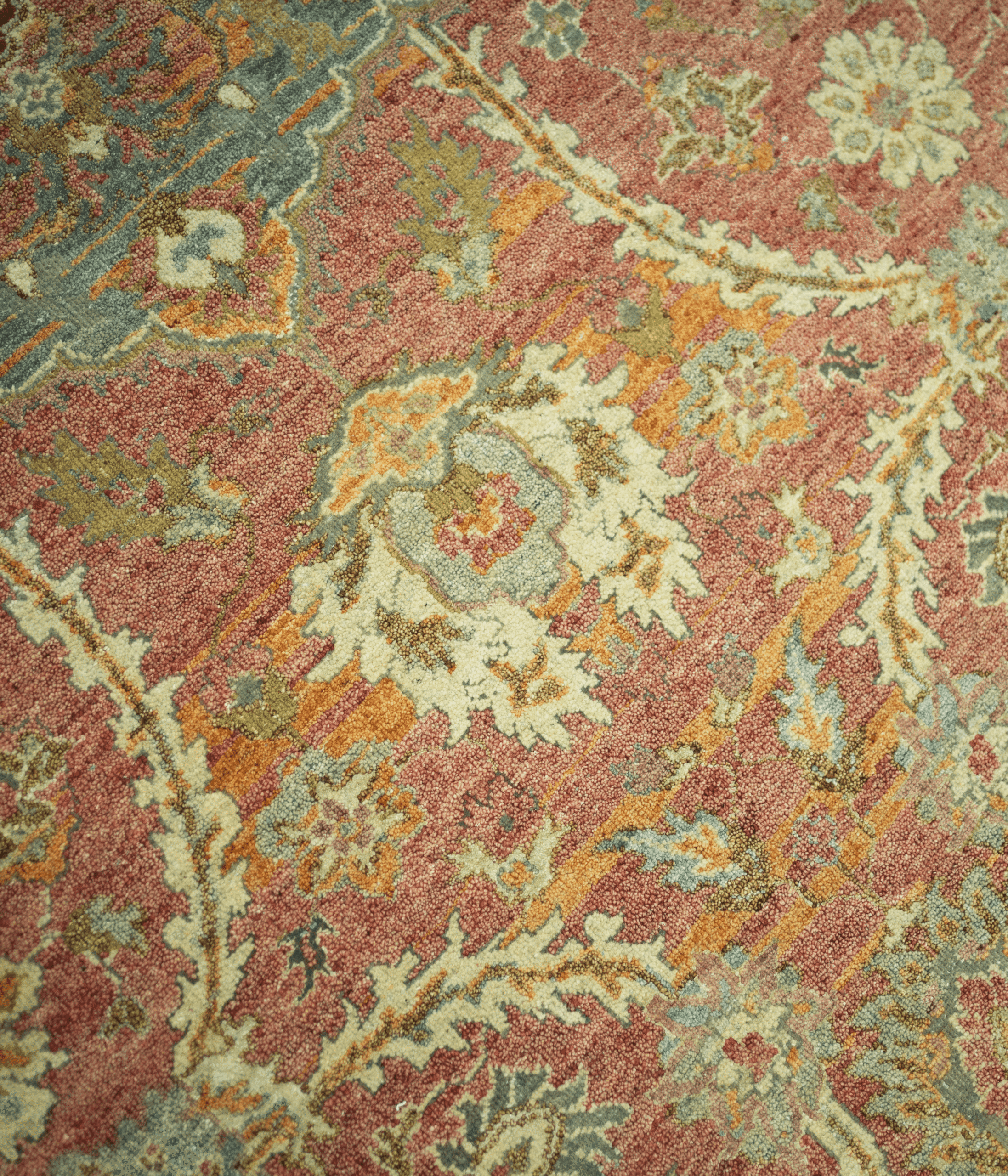 Regal Bloom - Image 2